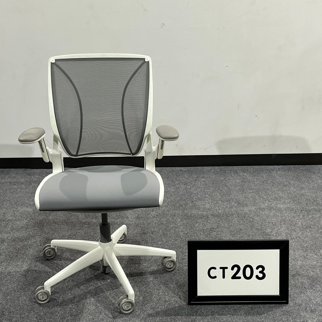 Humanscale Diffrient World task chair adjustable - showroom sample